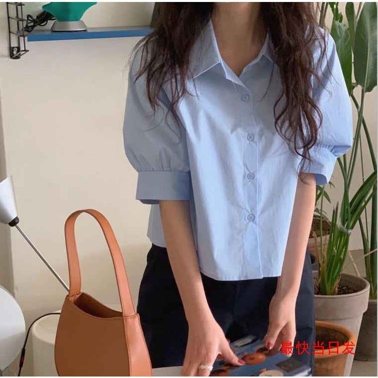 Women's Loose Back Pleated Casual Lapel Short Sleeve Shirt