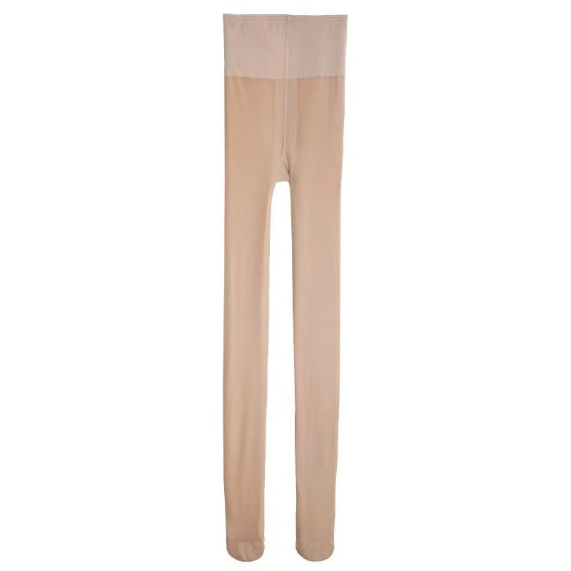 Women's Skin-Tone Fleece-Lined Tights in Four Weights, Glossy