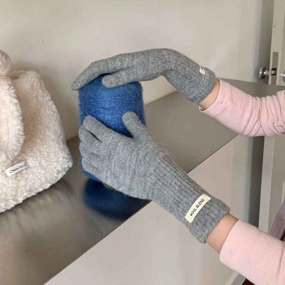 Wool Blend Touch Screen Winter Gloves for Women Simple Pro X
