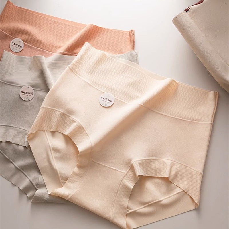 Seamless Cotton Briefs – High Waist Plus Size