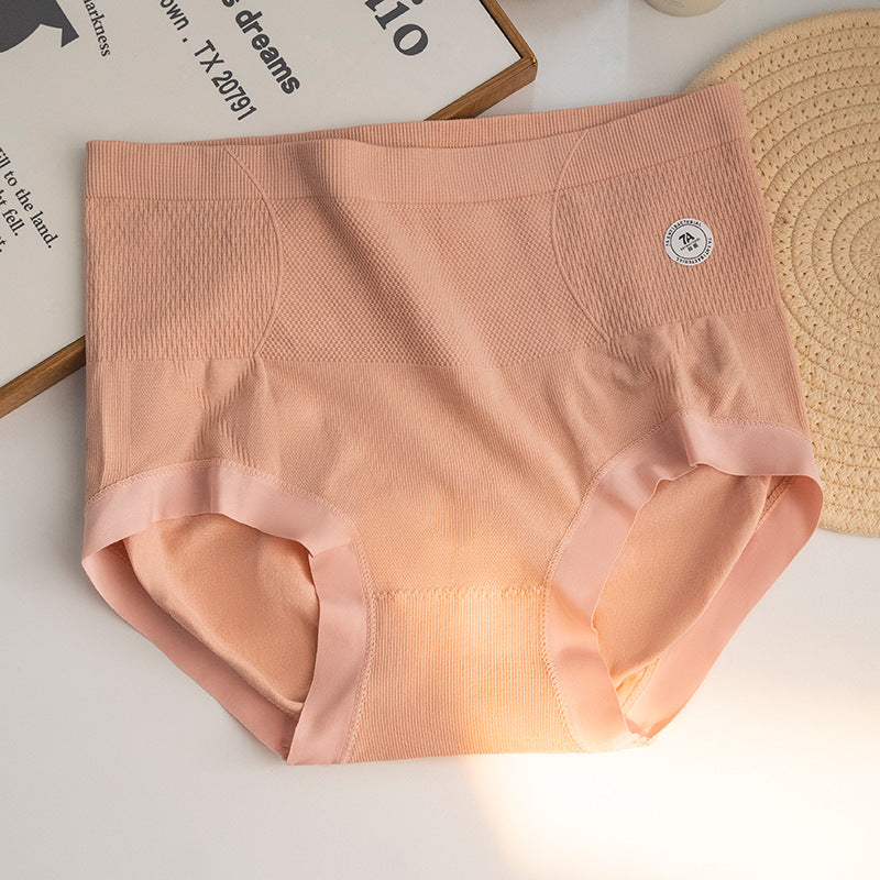 Plus Size High Waist Underwear Pack of 6